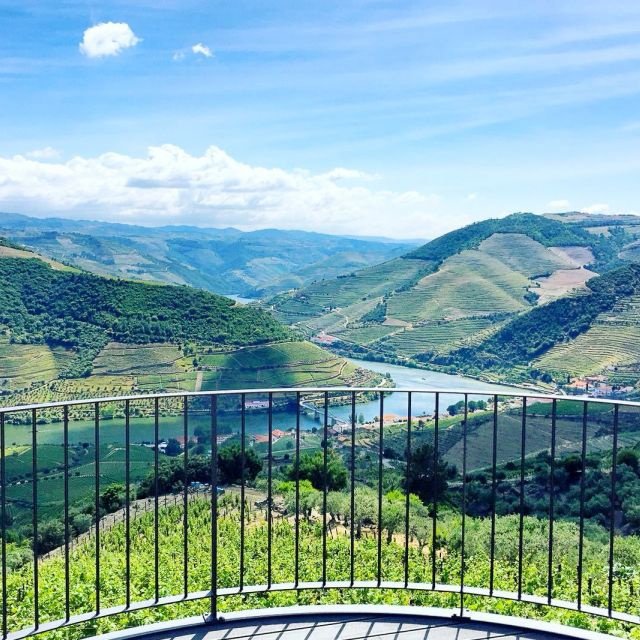 Do Porto: Vale do Douro, Barco, Degustação Vinhos e Almoço