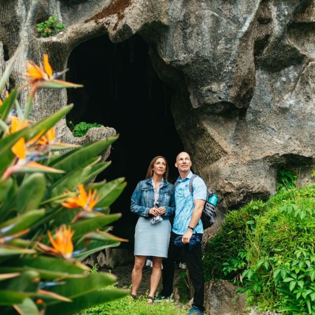 Do Porto: Viagem de dia inteiro a Braga e Guimarães