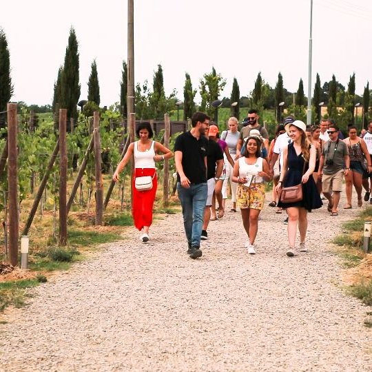 Florença: Siena, San Gimignano e Chianti c/ Degustação Vinhos e Almoço