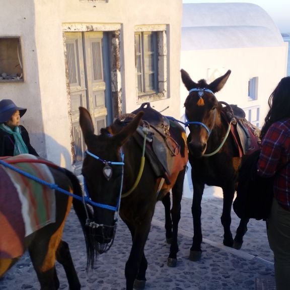 Santorini: Excursão para grupos pequenos pelos castelos venezianos