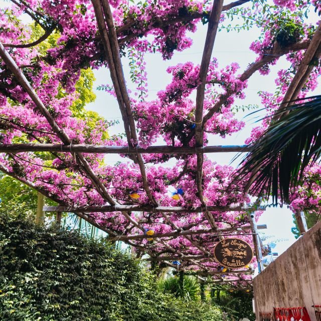 Roma: Excursão à Costa Amalfitana, Positano e Pompeia