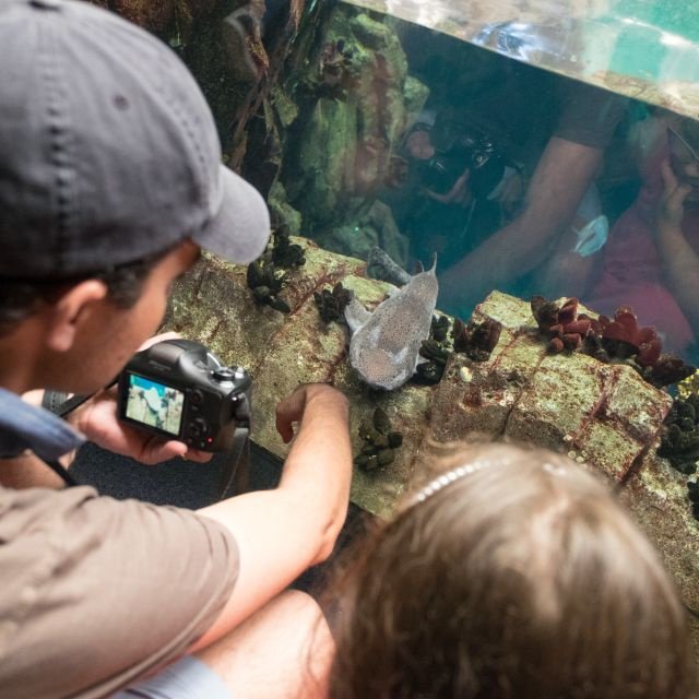 Lisboa: Ingresso para o Oceanário de Lisboa