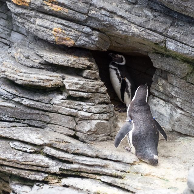 Lisboa: Ingresso para o Oceanário de Lisboa