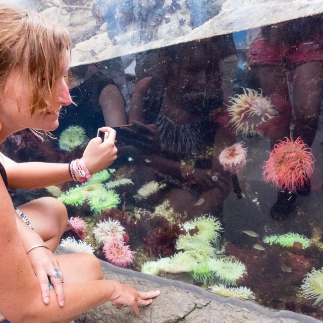 Lisboa: Ingresso para o Oceanário de Lisboa