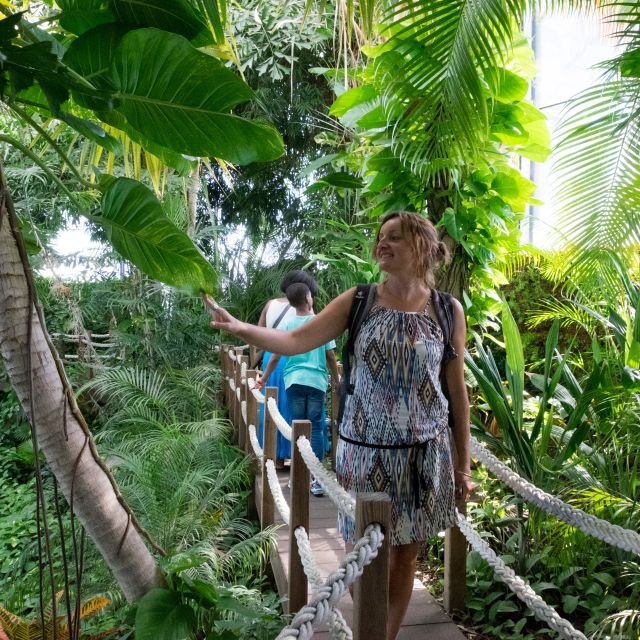 Lisboa: Ingresso para o Oceanário de Lisboa