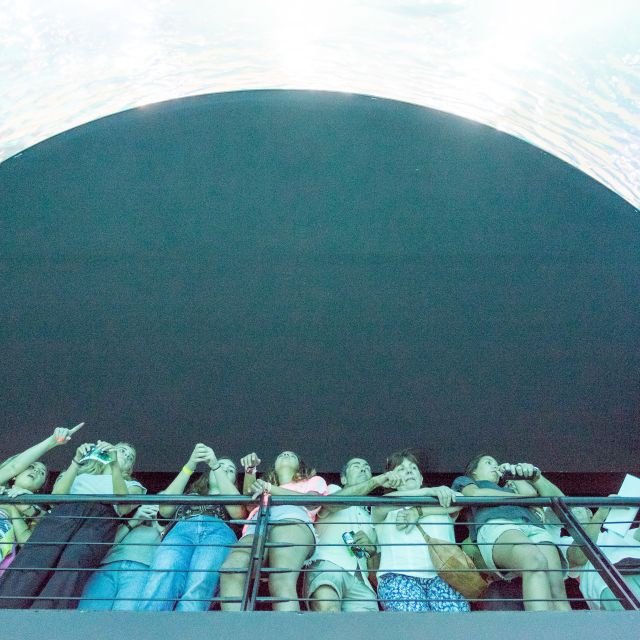 Lisboa: Ingresso para o Oceanário de Lisboa