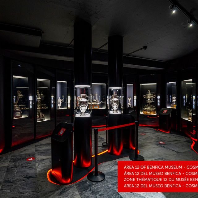 Lisboa: Tour Guiado de 2 Horas ao Estádio da Luz e Museu