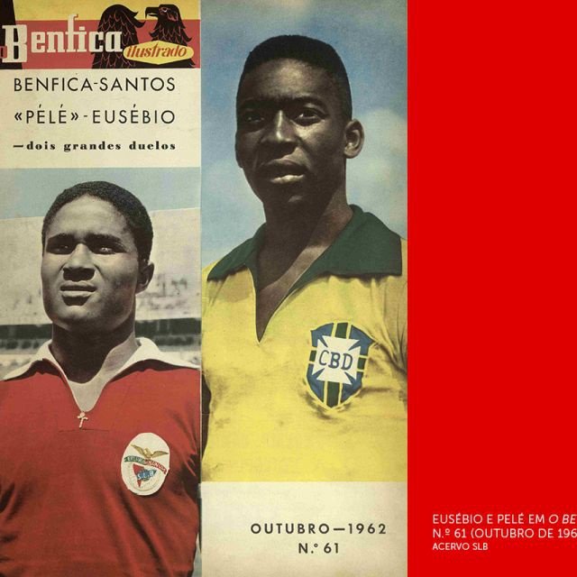 Lisboa: Tour Guiado de 2 Horas ao Estádio da Luz e Museu