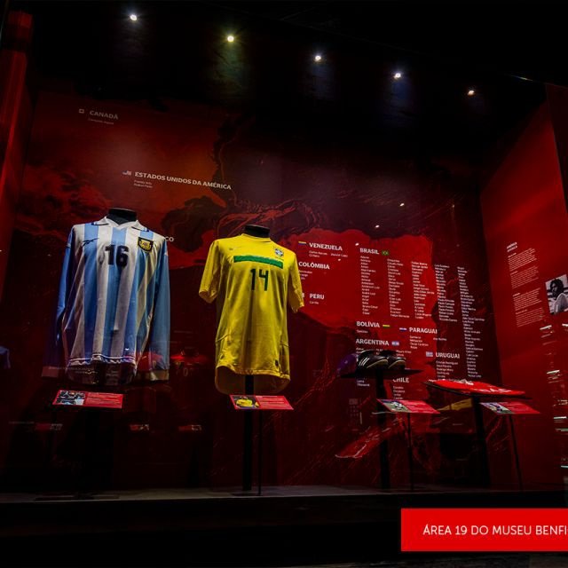 Lisboa: Tour Guiado de 2 Horas ao Estádio da Luz e Museu