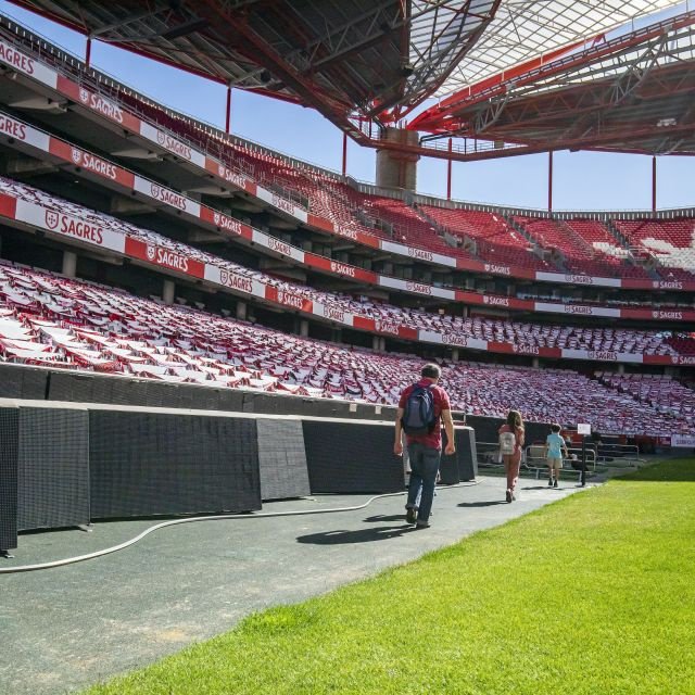 Lisboa: Tour Estádio da Luz e Ingresso Museu Benfica