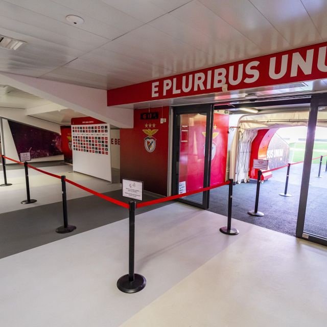 Lisboa: Tour Estádio da Luz e Ingresso Museu Benfica