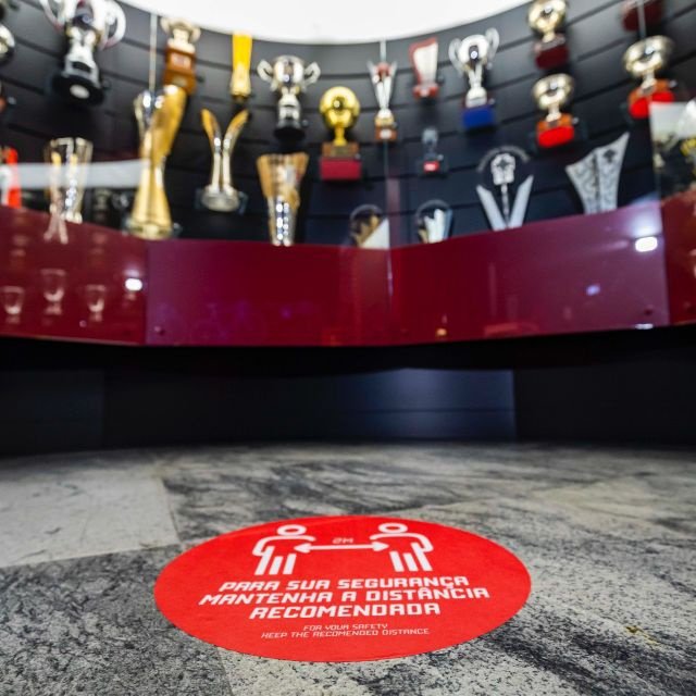 Lisboa: Tour Estádio da Luz e Ingresso Museu Benfica