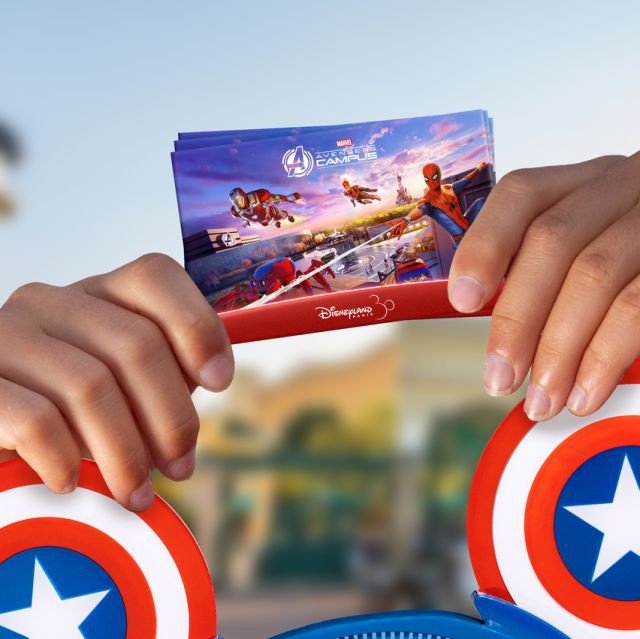 Paris: Ingresso Disneyland Paris 1 Dia