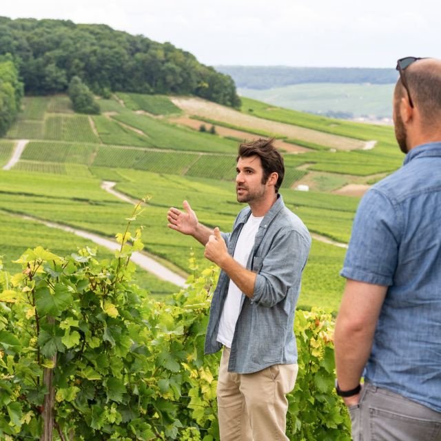 Viagem de um dia a Champagne saindo de Paris com 8 degustações e almoço