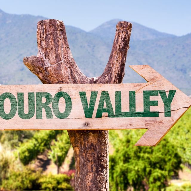 Do Porto: Vale do Douro, Barco, Degustação Vinhos e Almoço