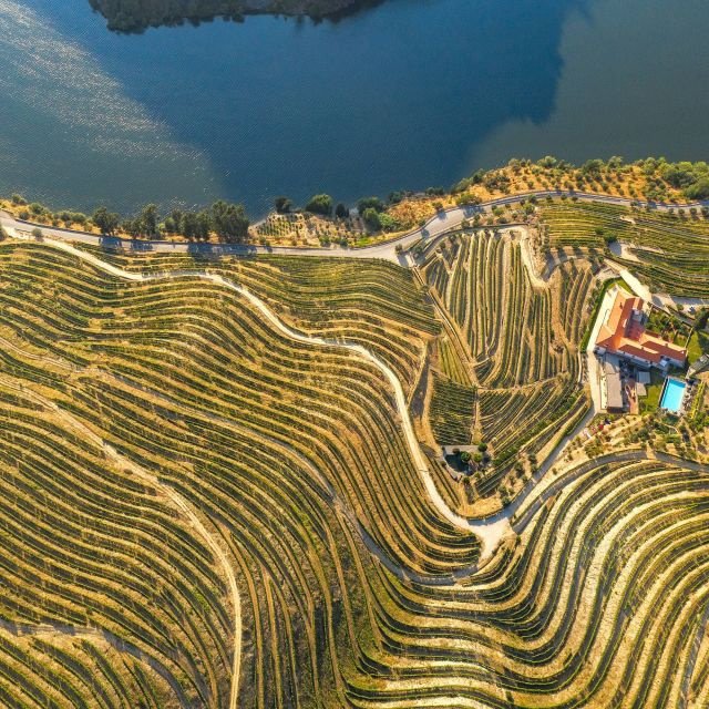 Do Porto: Vale do Douro, Barco, Degustação Vinhos e Almoço