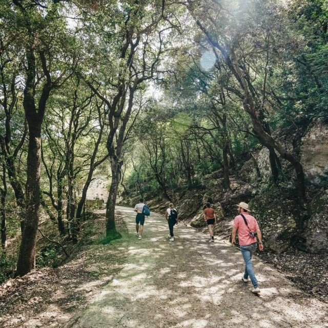 Barcelona: Excursão a Montserrat, Mosteiro e Vinho/Almoço Opcional