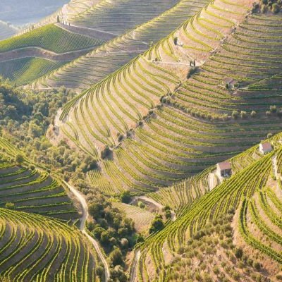 Do Porto: Vale do Douro, Barco, Degustação Vinhos e Almoço