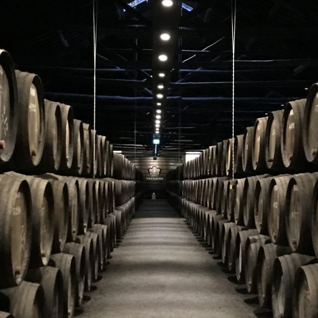 Do Porto: Vale do Douro, Barco, Degustação Vinhos e Almoço