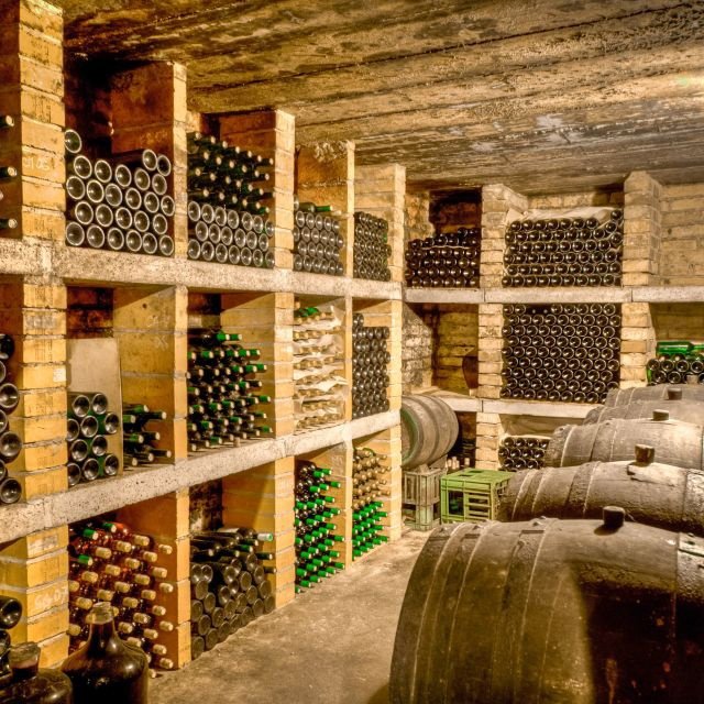 Do Porto: Vale do Douro, Barco, Degustação Vinhos e Almoço