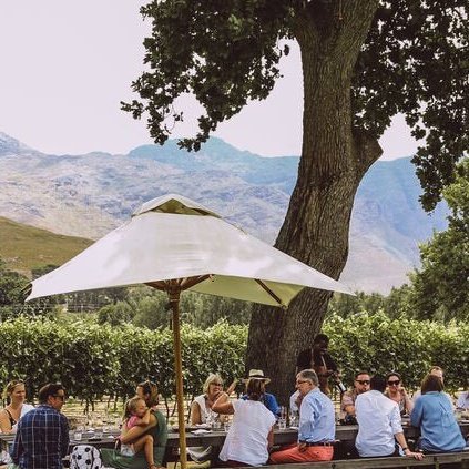 FRANSCHOEK WINE TRAM