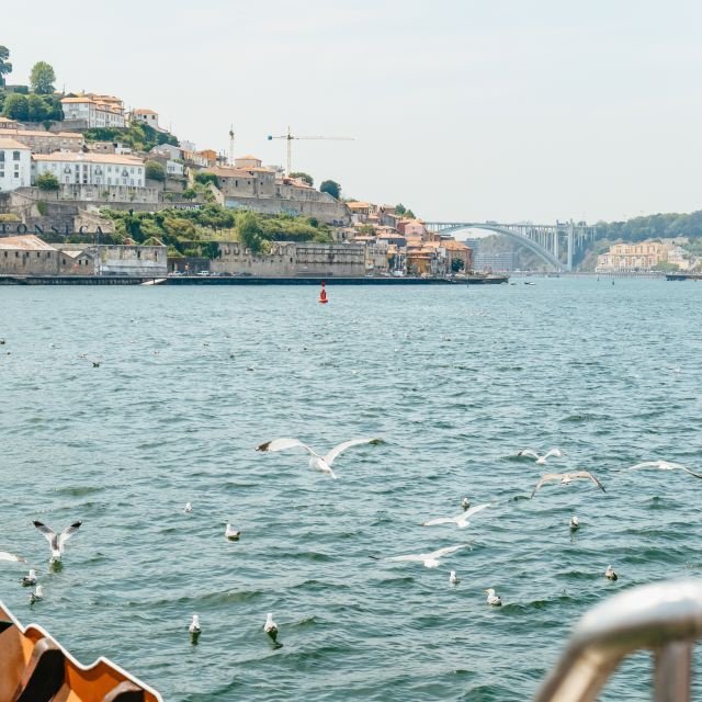 Porto: Cruzeiro das 6 Pontes no Rio Douro
