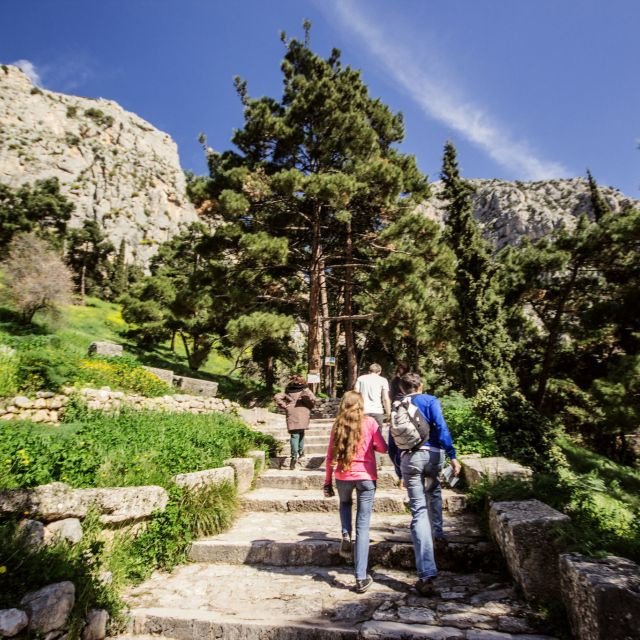 Atenas: Viagem de 1 Dia a Delfos c/ Busca e Almoço Opcional