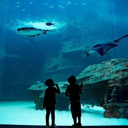 AQUÁRIO 2 OCEANOS