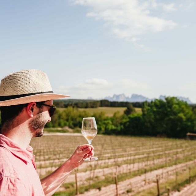 Barcelona: Excursão a Montserrat, Mosteiro e Vinho/Almoço Opcional