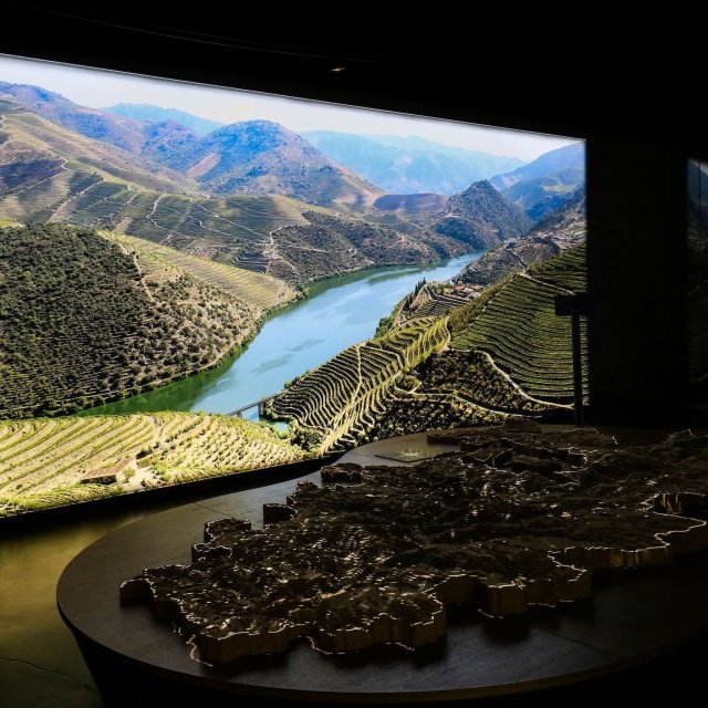 Porto: Adegas de Cálem, Show de Fado e Degustação de Vinhos