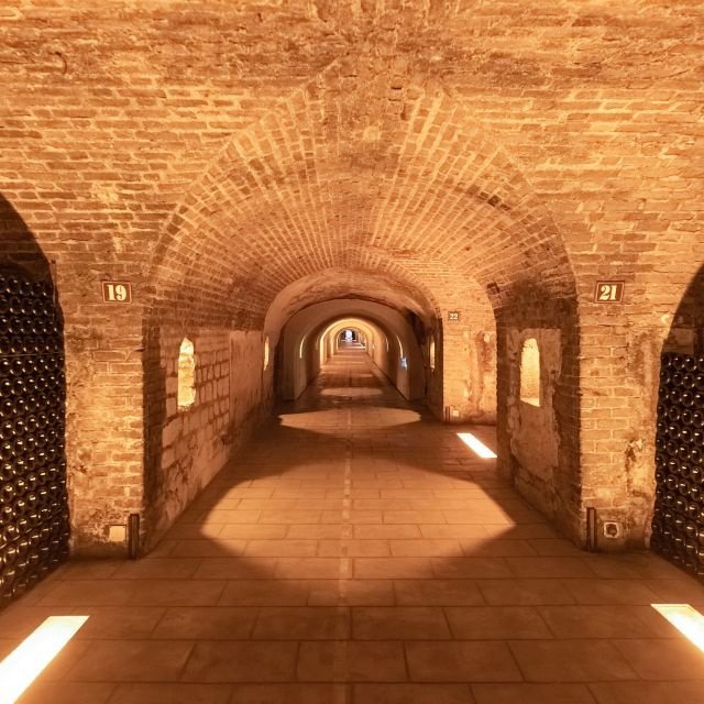 Viagem de um dia a Champagne saindo de Paris com 8 degustações e almoço