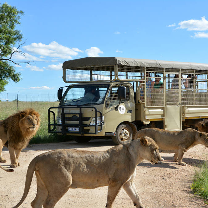 DISNEY ON ICE  - PACOTE MINNIE