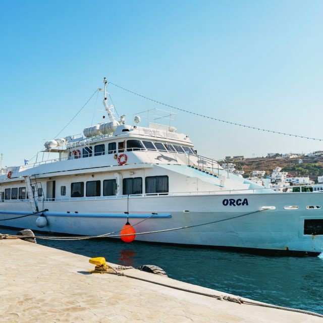 Mykonos: Excursão Guiada a Delos com Ingresso Sem Fila