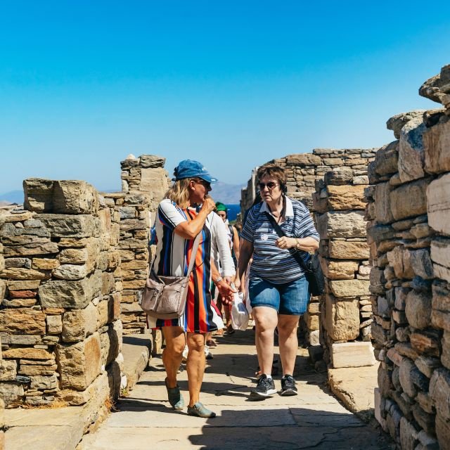 Mykonos: Excursão Guiada a Delos com Ingresso Sem Fila