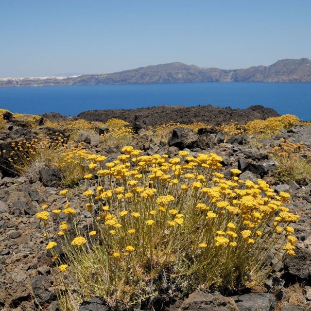 Santorini: Cruzeiro Guiado Ilhas Thirassia e Vulcão