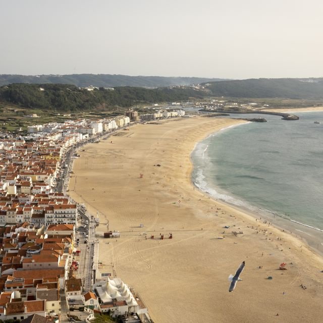 De Lisboa: Viagem de um dia ao Porto, Óbidos e Nazaré