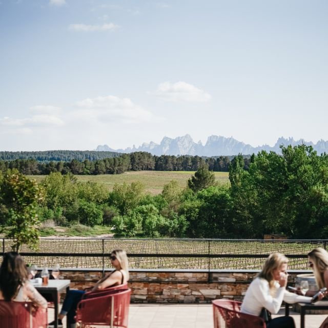 Barcelona: Excursão a Montserrat, Mosteiro e Vinho/Almoço Opcional