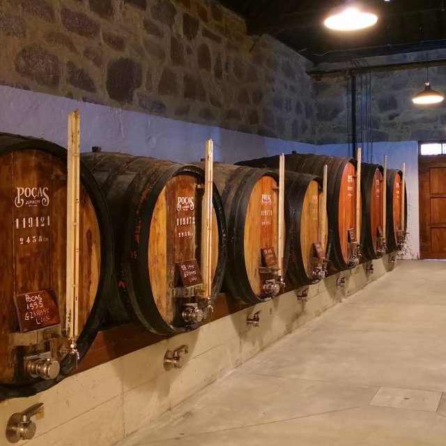 Porto: Tour e Prova de 3 Vinhos do Porto na Adega Poças